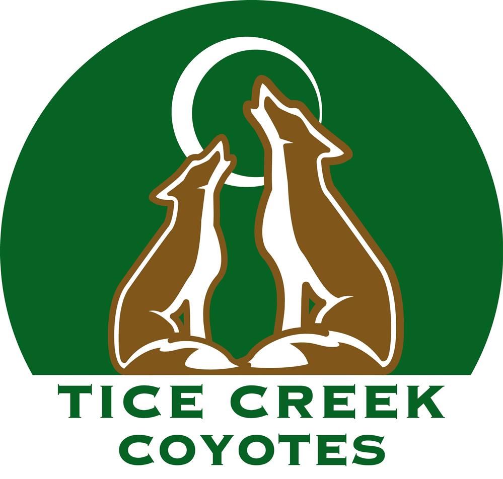 TC Logo TC Logo